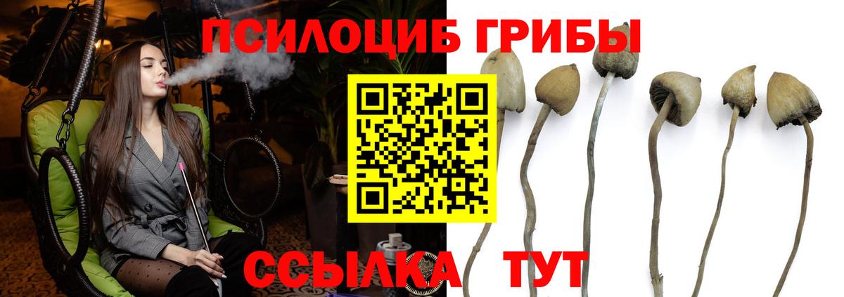 Галлюциногенные грибы мицелий  Вход с VPN  Белогорск 