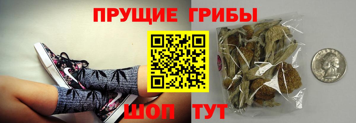 Псилоцибиновые грибы MAGIC MUSHROOMS Белогорск